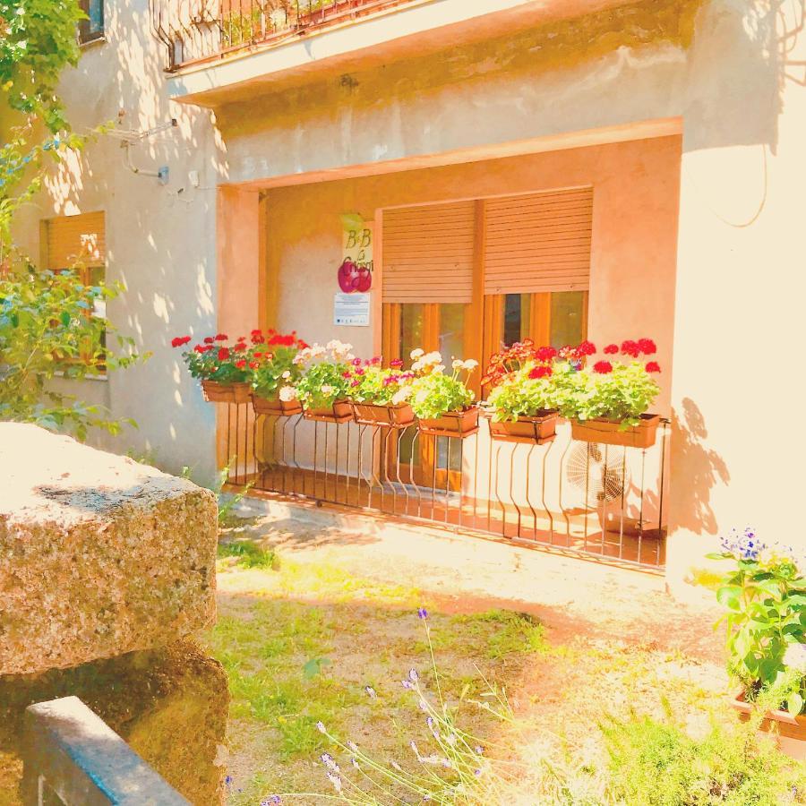 Gallura Experiences Li Criasgi Aggius エクステリア 写真