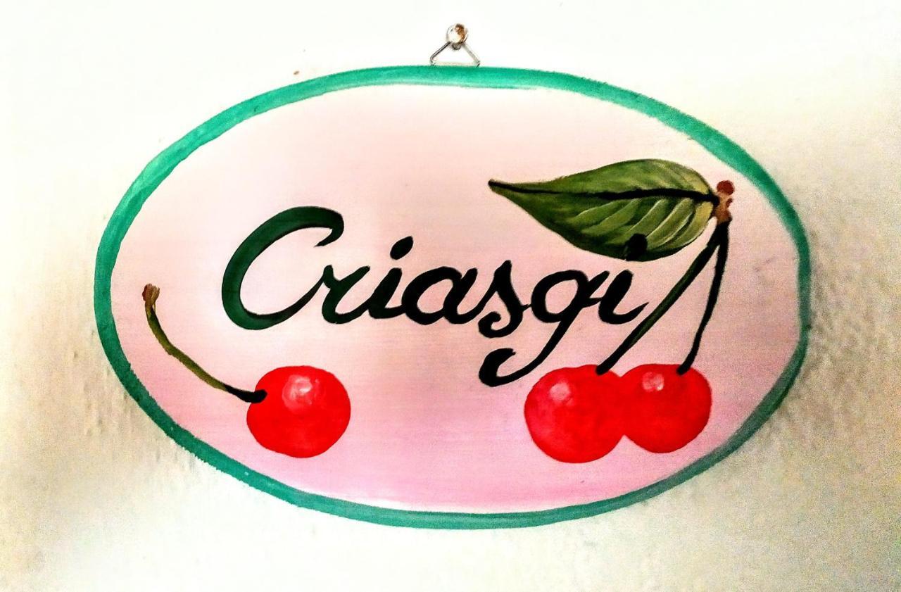 Gallura Experiences Li Criasgi Aggius エクステリア 写真