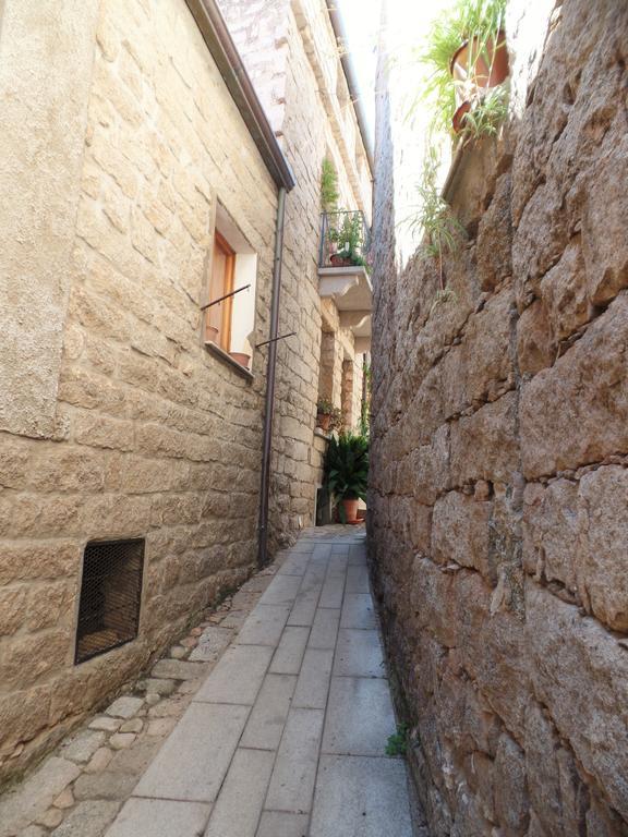 Gallura Experiences Li Criasgi Aggius エクステリア 写真